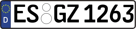 ES-GZ1263