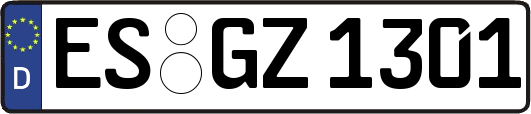ES-GZ1301