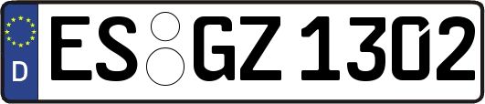 ES-GZ1302