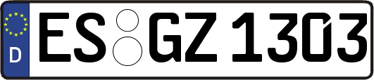 ES-GZ1303