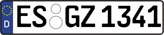 ES-GZ1341