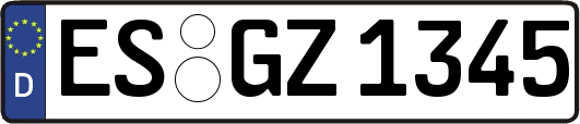 ES-GZ1345