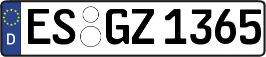 ES-GZ1365