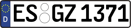 ES-GZ1371