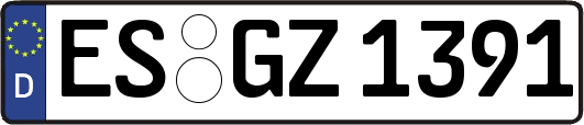 ES-GZ1391