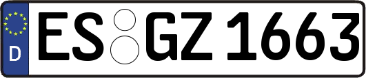 ES-GZ1663