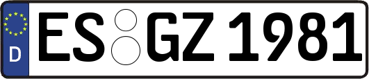 ES-GZ1981