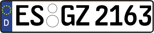 ES-GZ2163