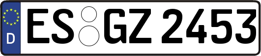 ES-GZ2453