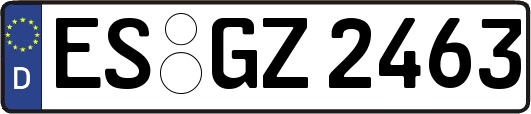 ES-GZ2463