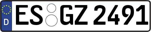 ES-GZ2491