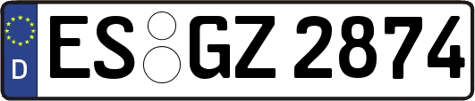 ES-GZ2874