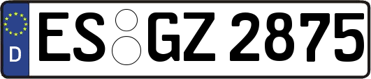 ES-GZ2875