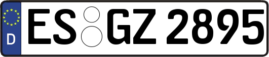 ES-GZ2895