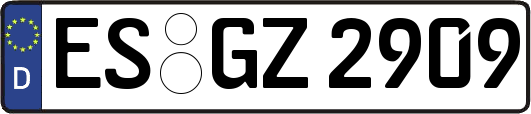 ES-GZ2909