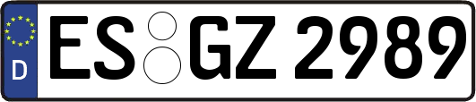 ES-GZ2989