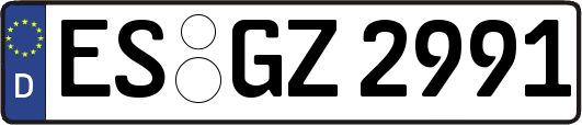 ES-GZ2991