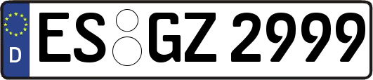 ES-GZ2999