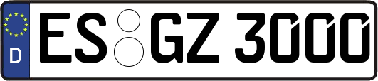 ES-GZ3000