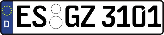 ES-GZ3101