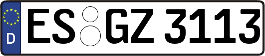 ES-GZ3113