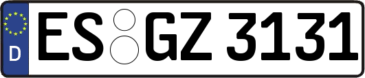 ES-GZ3131