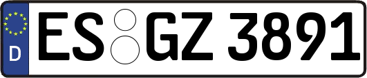 ES-GZ3891