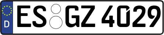 ES-GZ4029