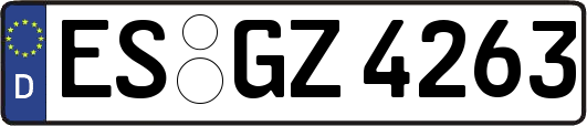 ES-GZ4263