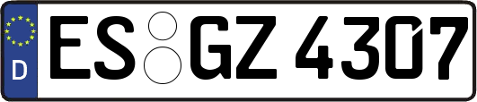 ES-GZ4307