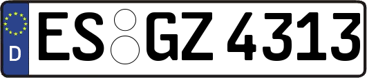 ES-GZ4313