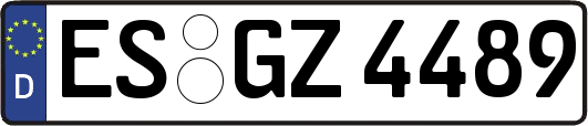 ES-GZ4489
