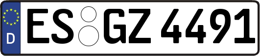 ES-GZ4491