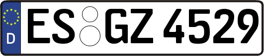 ES-GZ4529