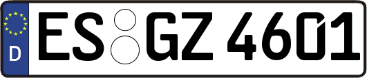 ES-GZ4601