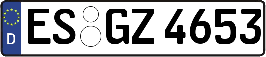 ES-GZ4653