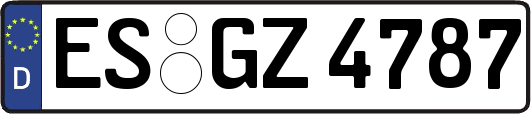 ES-GZ4787