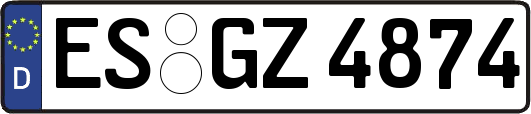 ES-GZ4874