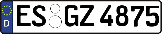 ES-GZ4875