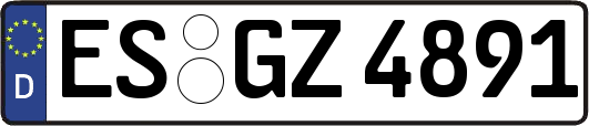 ES-GZ4891