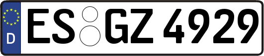 ES-GZ4929