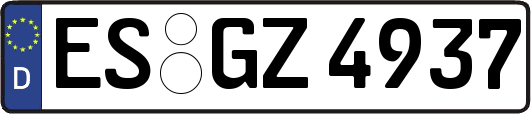 ES-GZ4937
