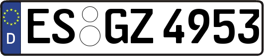 ES-GZ4953