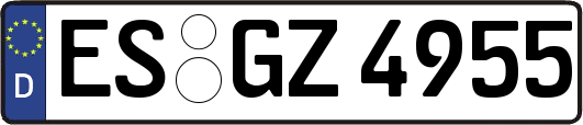ES-GZ4955