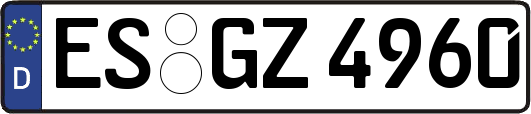 ES-GZ4960