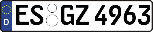 ES-GZ4963