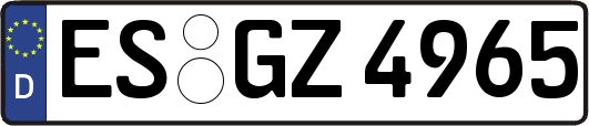ES-GZ4965