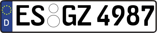 ES-GZ4987