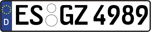 ES-GZ4989