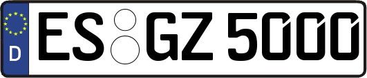 ES-GZ5000